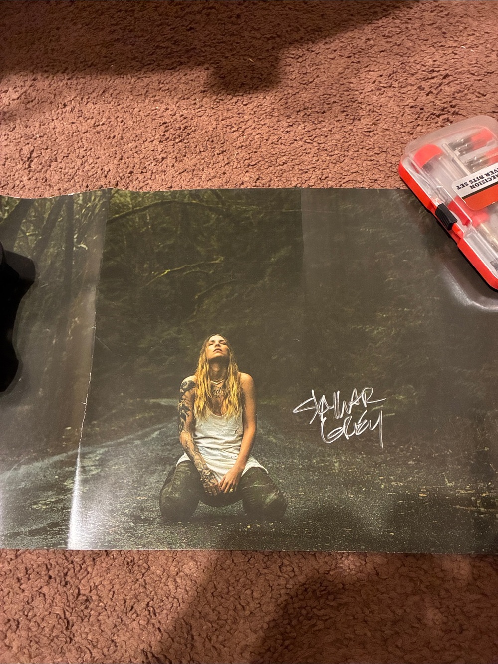 Skylar Grey autographed poster signed